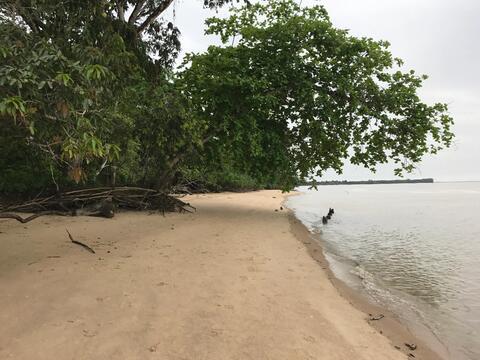 Littoral Guyane